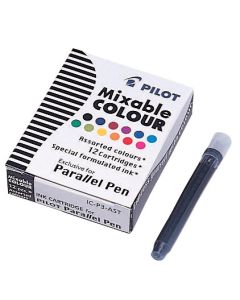 Cartridge for Calligraphy pen (12 assorted)
